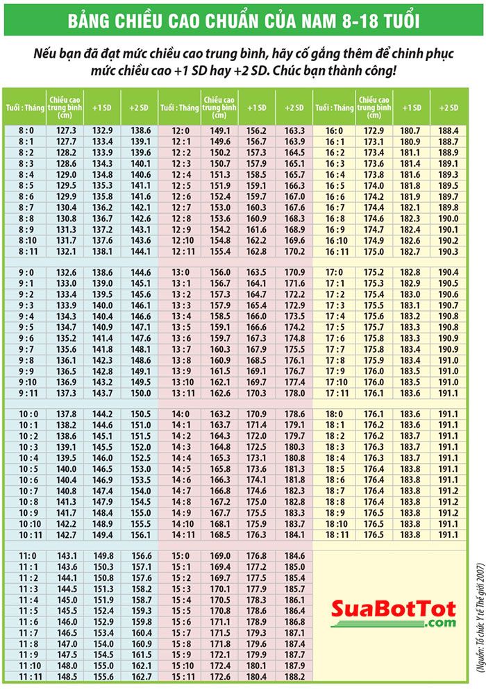 Bảng Chiều Cao của Nam và Nữ từ 8 đến 18 tuổi theo tiêu chuẩn WHO