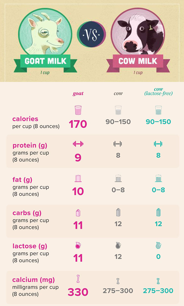 So sánh sữa Dê và sữa Bò loại nào tốt giúp bé tăng cân?