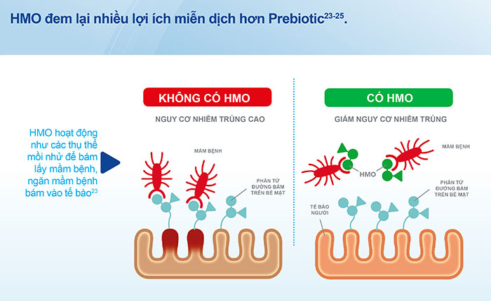 Sữa Similac HMO có tốt không? Trẻ nào nên dùng Similac HMO?